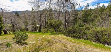 0 Hemlock Drive