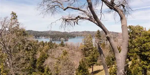 226 Hidden Forest Road