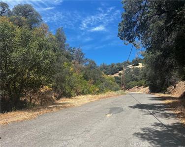 12225 Mount View Drive