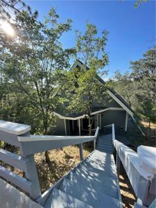 1446 Sequoia