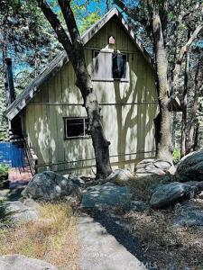 1010 Jungfrau Drive