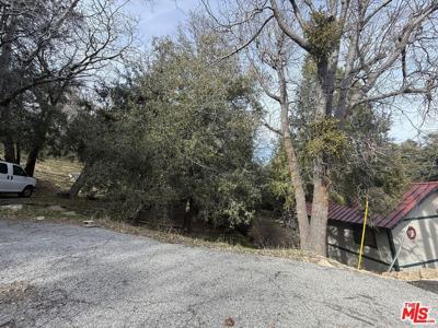 24862 Edelweiss Drive