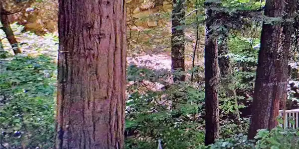 0 Fleming Creek Road