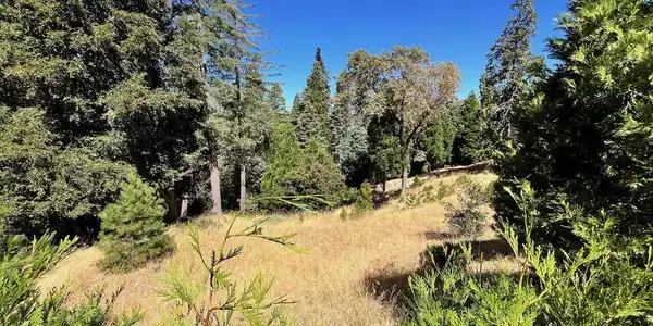 284 Hidden Forest Road