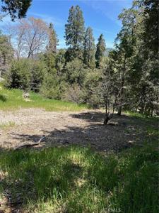 1039 Jungfrau Drive