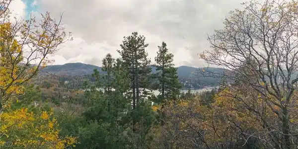 0 Yosemite Drive