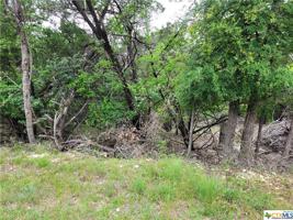 6596 Hood Trail