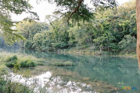14B Rivers Edge at Gruene