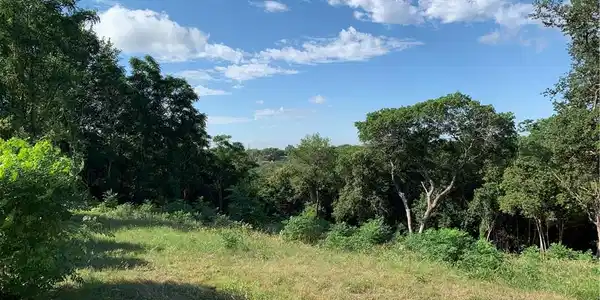 0 Blue Ridge Drive