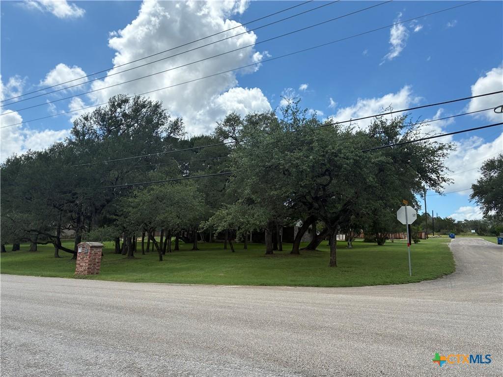 Image 3: Almost 1 acre tree covered CORNER LOT