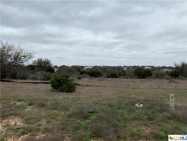 582 Curvatura