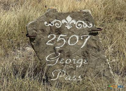 2507 George Pass