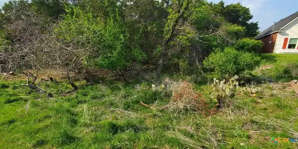 Image 4: View right front of lot featuring nature.