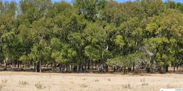 12062 Buckhorn Cemetery Road