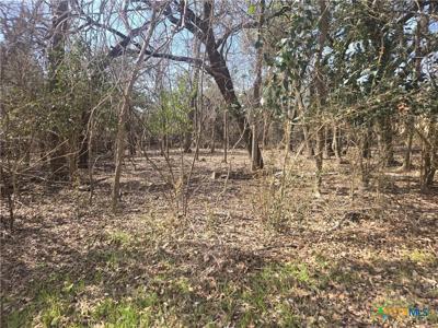 TBD Estate Trail