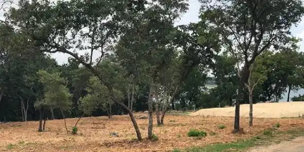 3708, 3712 Canyon Heights Road