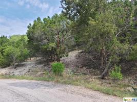 4207, 4211 Bluebonnet Drive