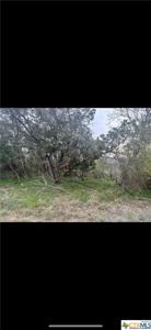 4280 Bluebonnet Drive