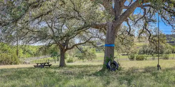 Image 2: Lovely established trees on the property