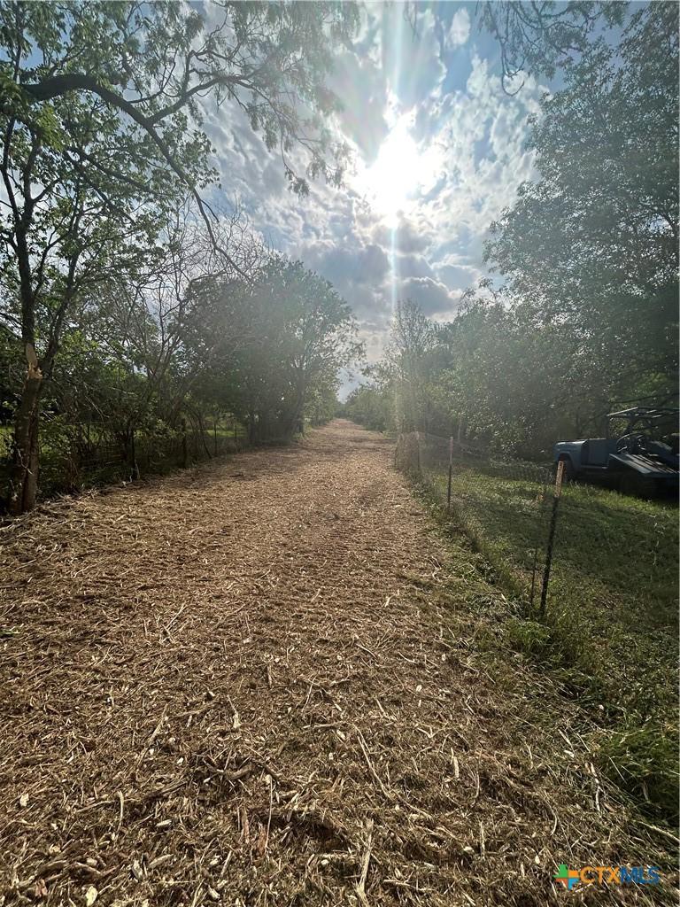 Image 4: cleared 20' easement