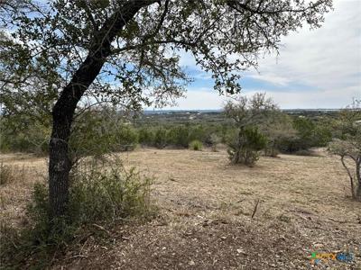 344 Bosque Ridge