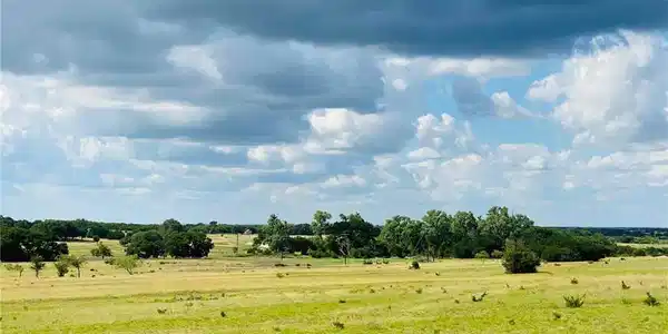 2621 County Road 3270 lot 14 Rylan Ranch