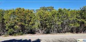 16004 Salado Drive
