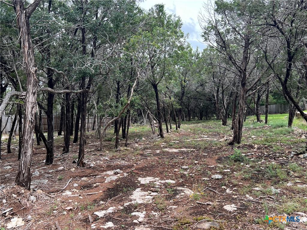 Image 2: View at front of lot
