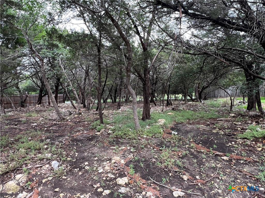 Image 3: View at middle of lot