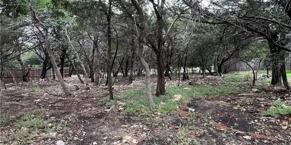 Image 3: View at middle of lot