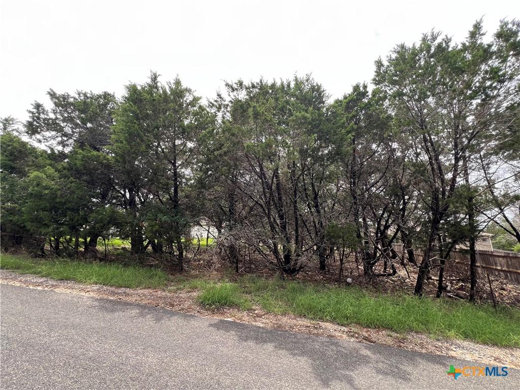 Image 4: View at back of lot from Cliff Estates Dr