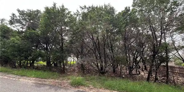 Image 4: View at back of lot from Cliff Estates Dr