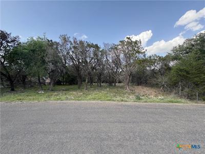 2303 Prickley Pear Road