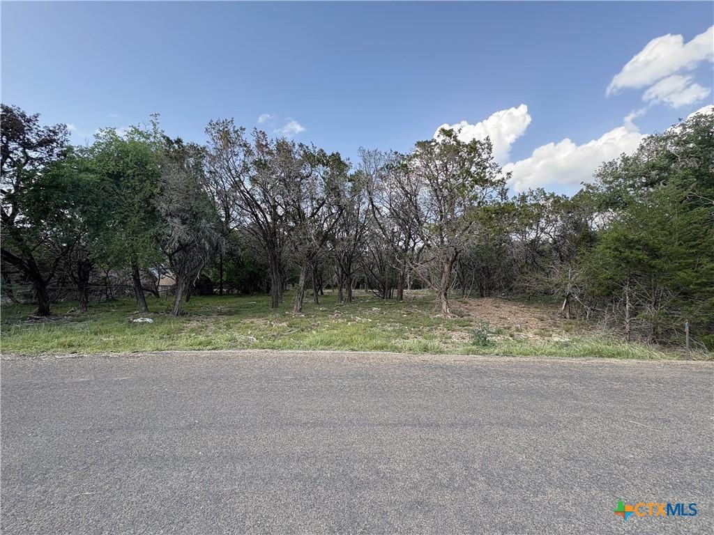 Image 1: View from Road