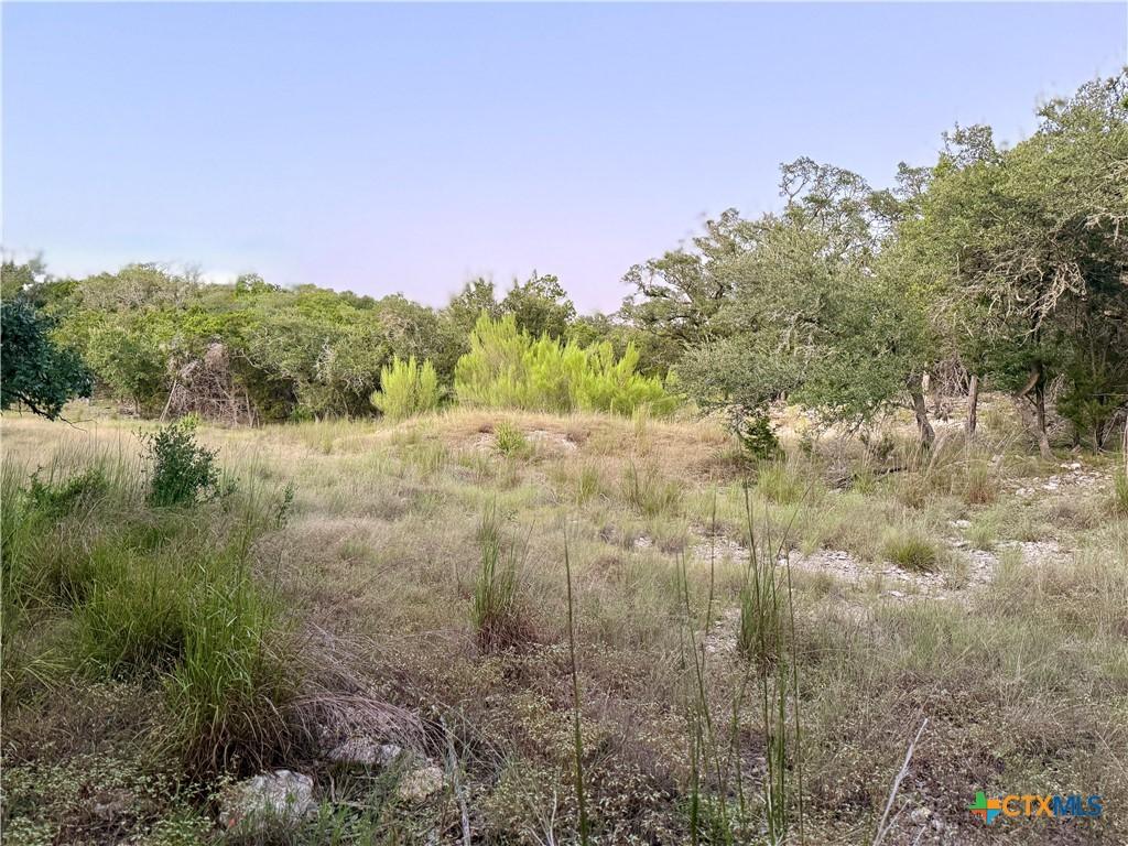 Image 4: Cleared area.