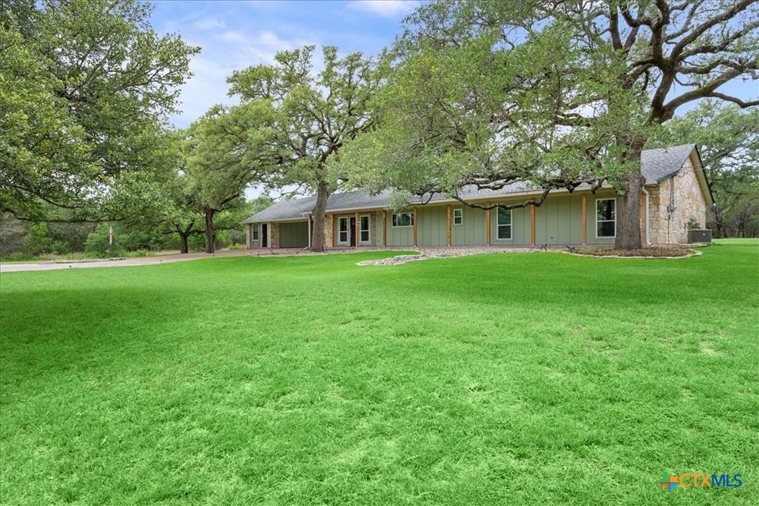 Image 4: Oversized lot