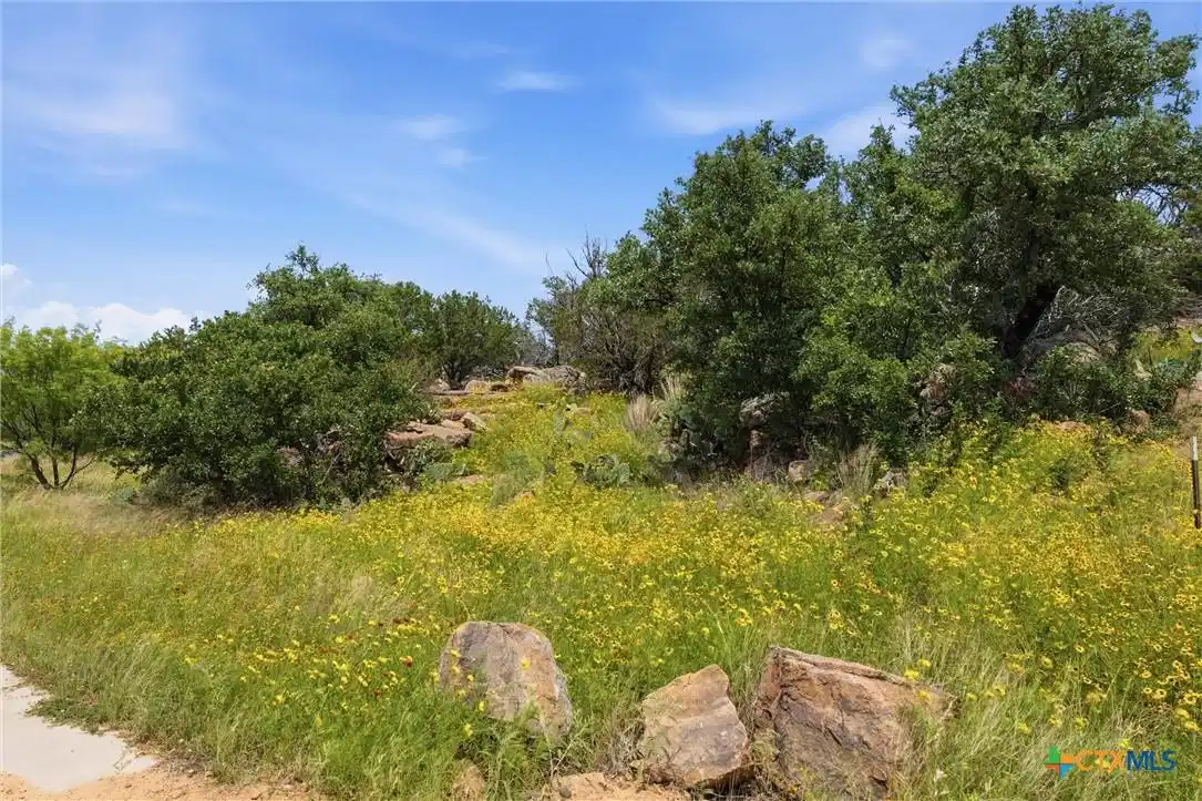 Image 1: Natural landscape featuring mature trees and a vib