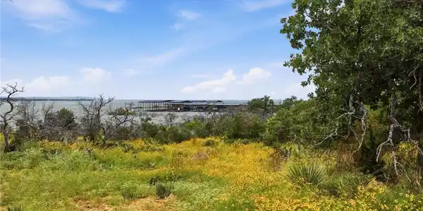Image 2: Expansive outdoor space featuring a field of yello