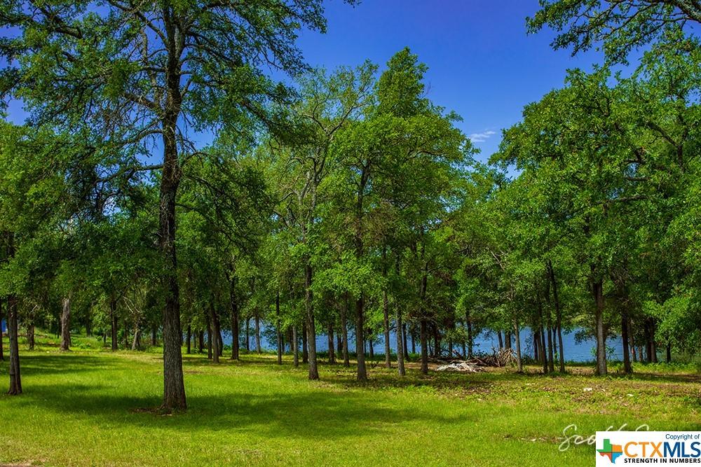 Image 3: 22 acre park with view of Lake Belton