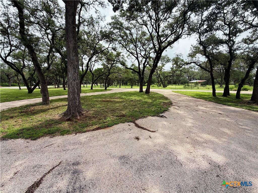 Image 4: circle drive