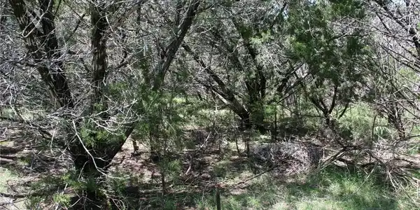 5406 Denmans Ridge