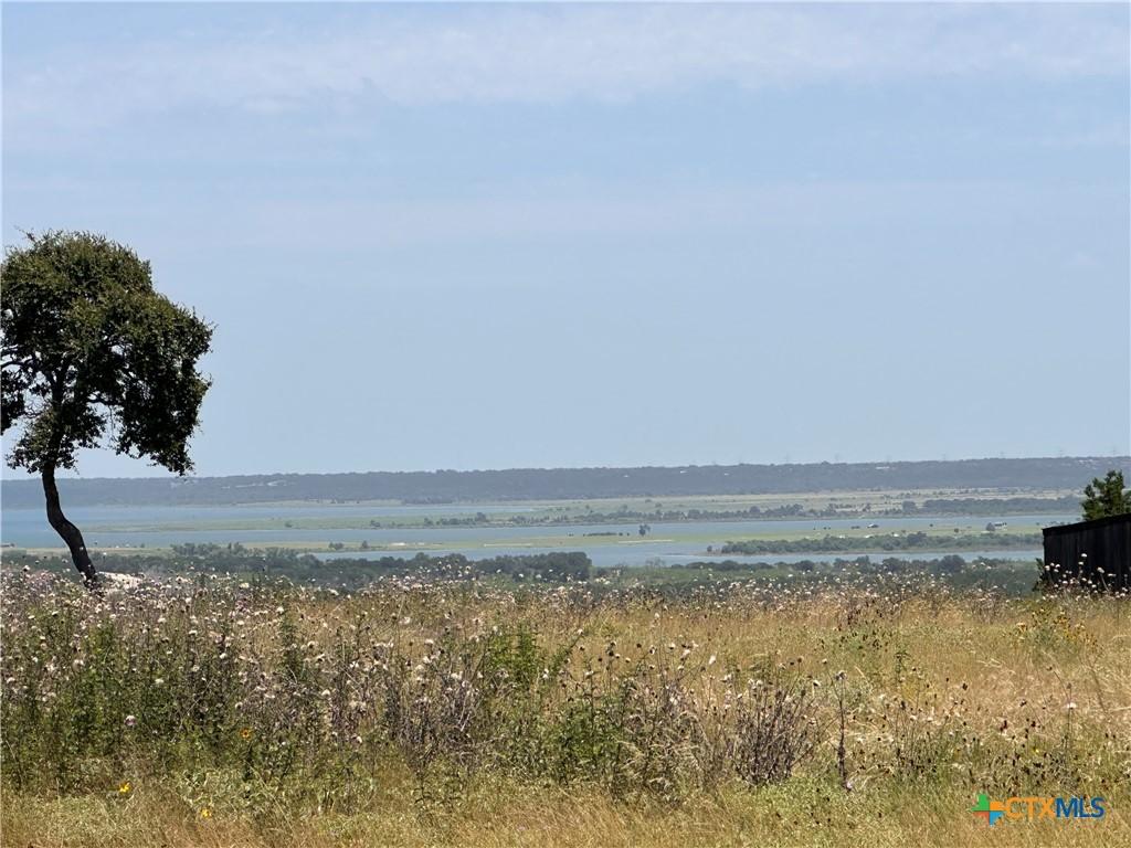 Image 3: Lake View