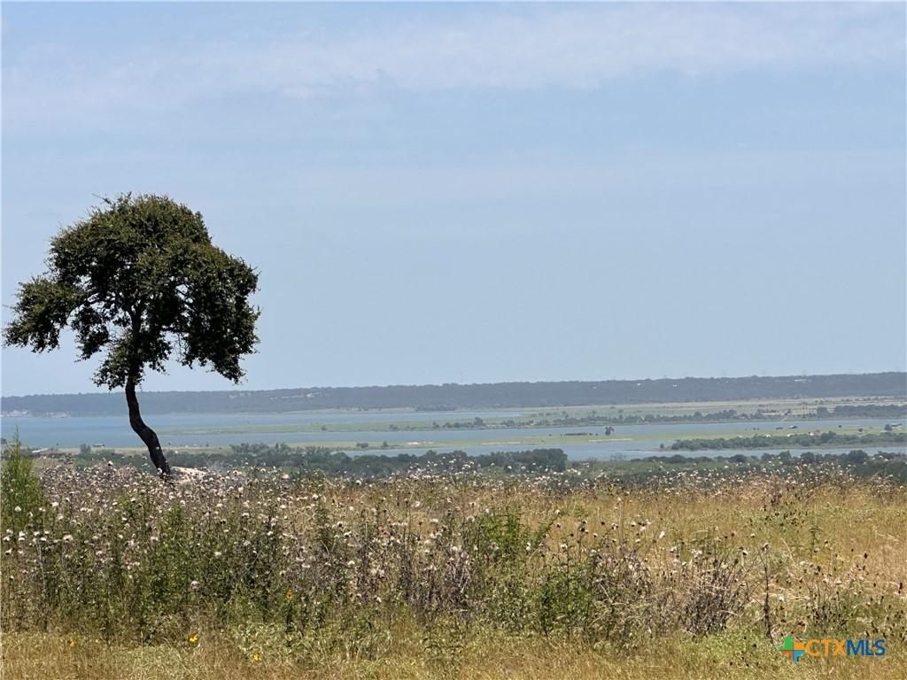 Image 4: Lake View