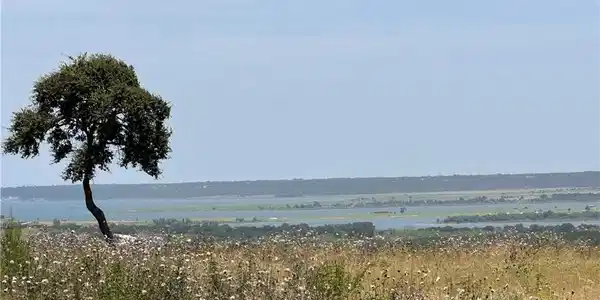 Image 4: Lake View