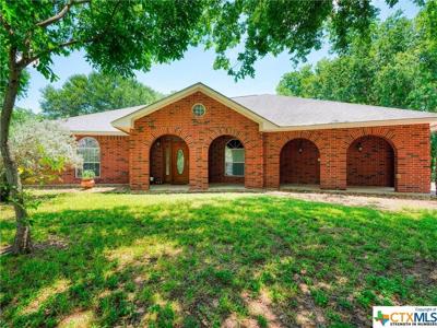 175 Turtle Lane