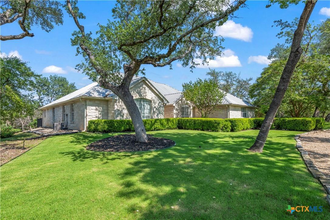 Image 4: Gorgeous Live Oaks