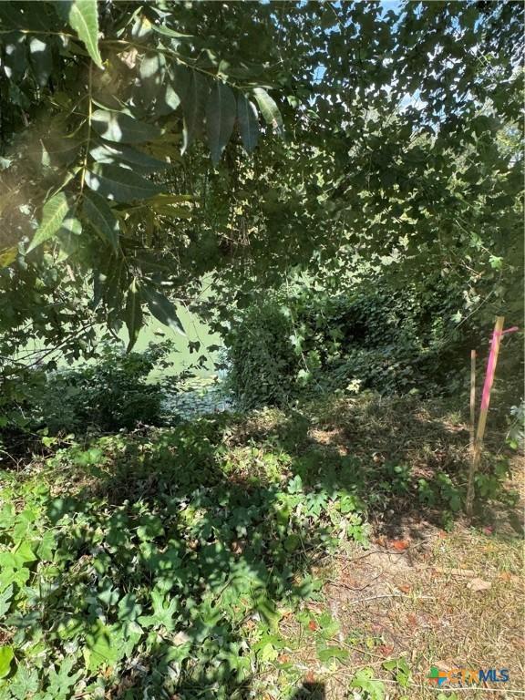 Image 2: Lake Seguin waterfront