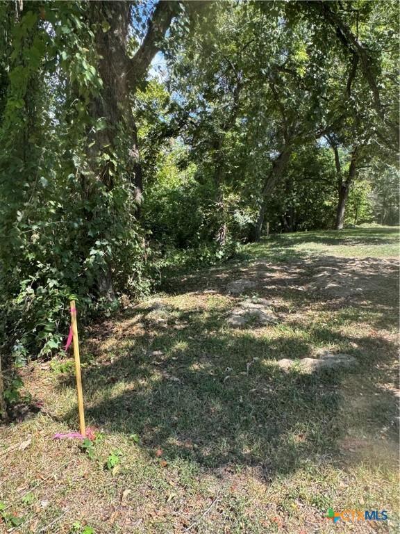 Image 4: Huge pecan trees at back of lot