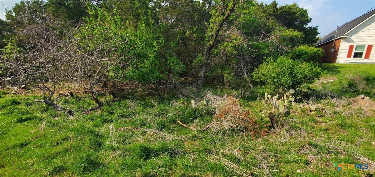 Image 4: View right front of lot featuring nature.