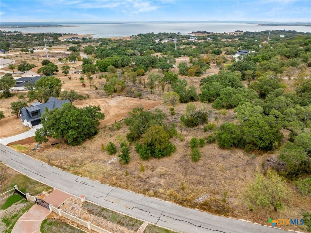 Image 2: Buildable Lot with nice trees and view of Lake Buc